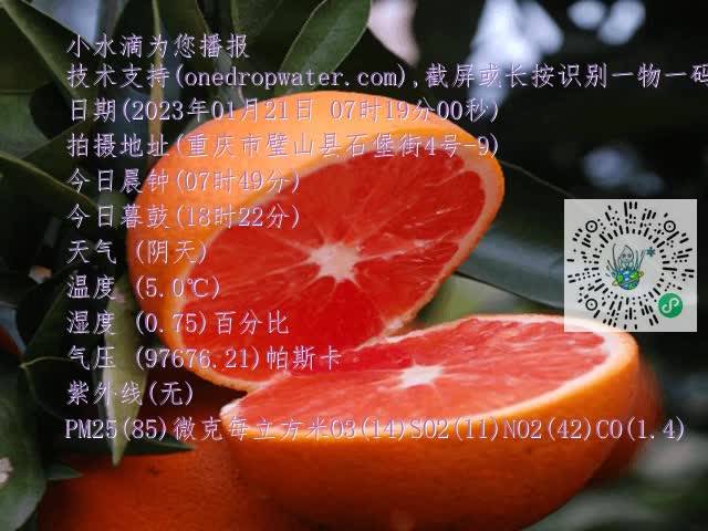 66ea24b89e1245e2e1ce94ec9c3d2a22.mp4