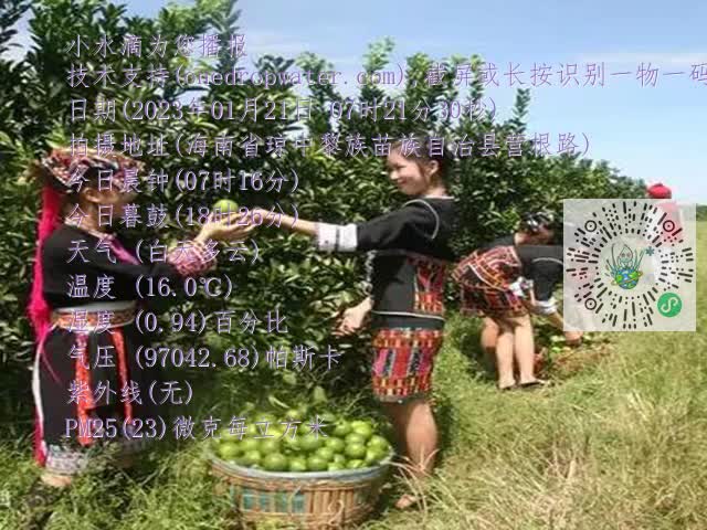 9fcec425d76fe5c039e462790b9ad4f2.mp4