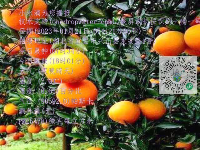9f27c15a54c36c088ceecf758502d516.mp4