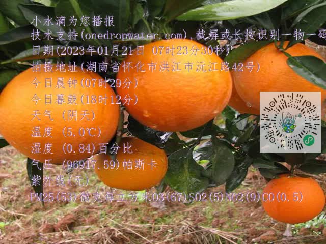 b3513e339bba9c001e0b49f97f9511cd.mp4