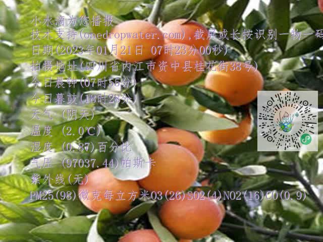 e3ebbcc65406adf59700652ad5a43744.mp4