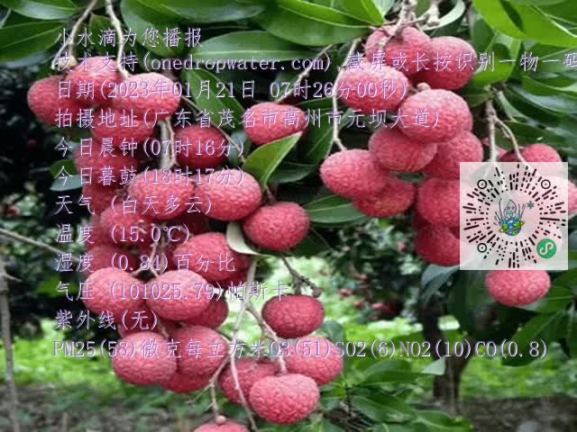 fa89a57207479821c701b64d8ff32aa6.mp4