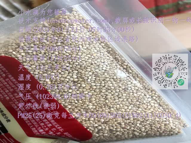f54041257ae528c1cb15dac07cb202dc.mp4