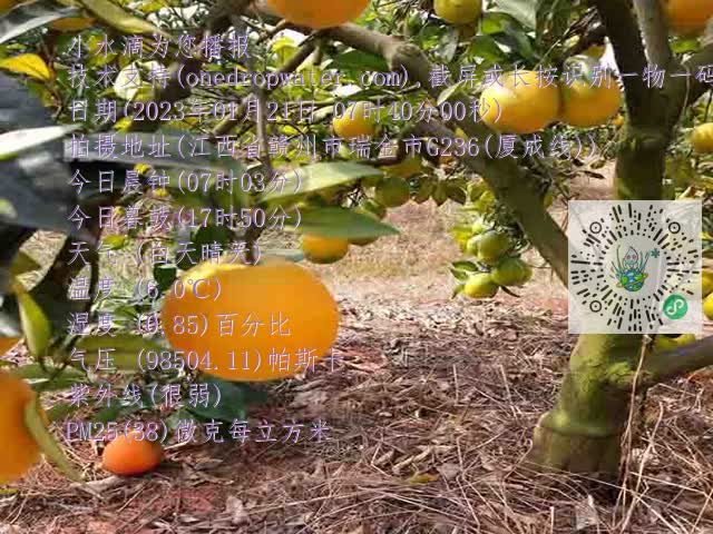 b9799b70a0fb44602c39408f71633394.mp4