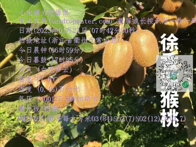 9b0130096f56a94b21ab197725310393.mp4