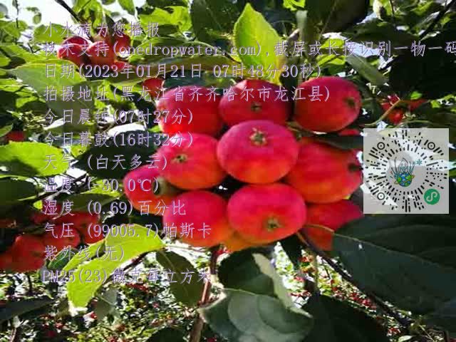 9e52d468dd5ff3824cf170518c89640c.mp4