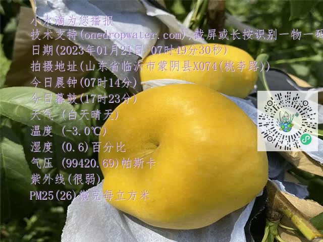 356bd73fc83f5c02b231ec36a1760015.mp4
