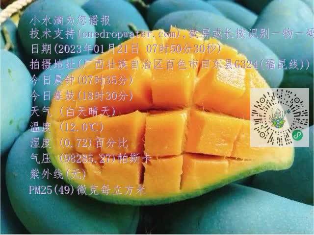 73494d77cb606d36ec27b666fd711518.mp4
