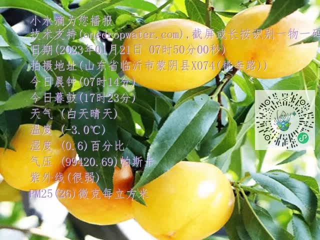 accf8854fa1eeb580fa5e72687844b29.mp4
