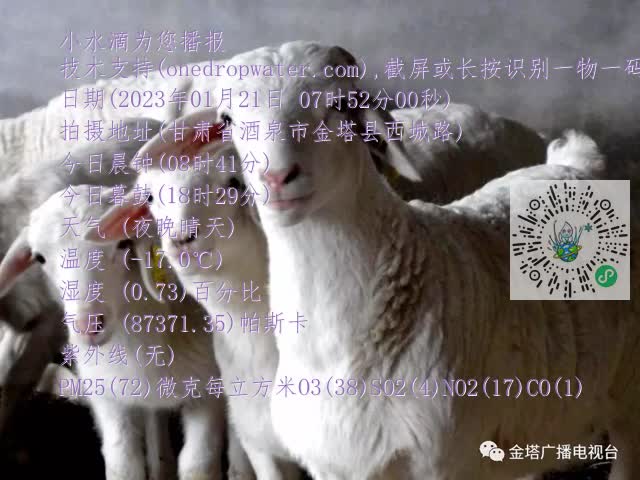 0.mp4
