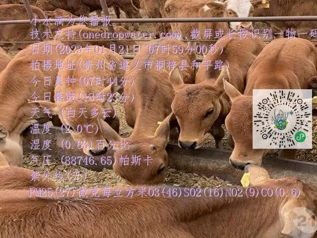0.mp4