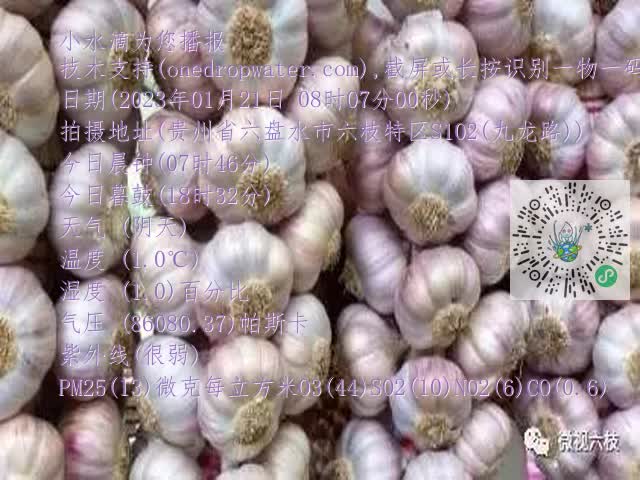 0.mp4