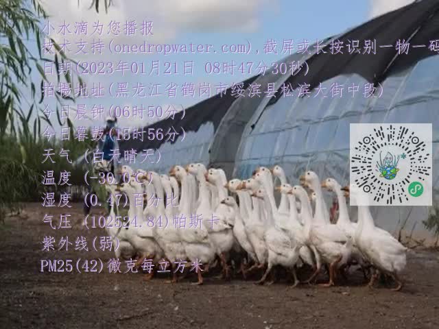 0.mp4