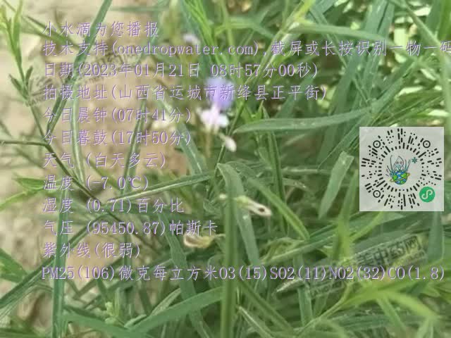 0.mp4