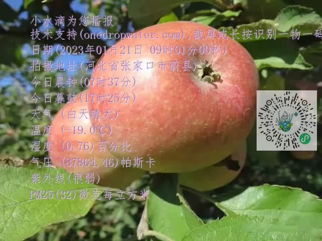 0.mp4