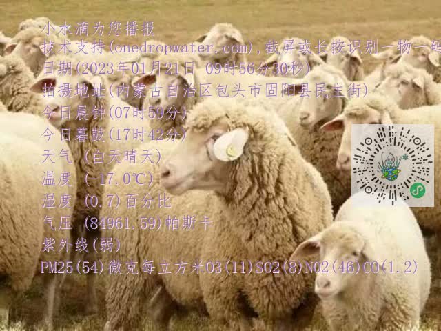 0.mp4