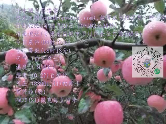 0.mp4