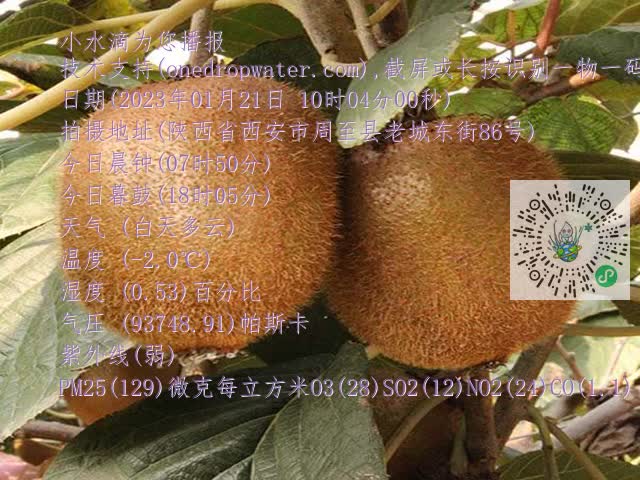 480675979f44dbcdb6228be6764ba6de.mp4