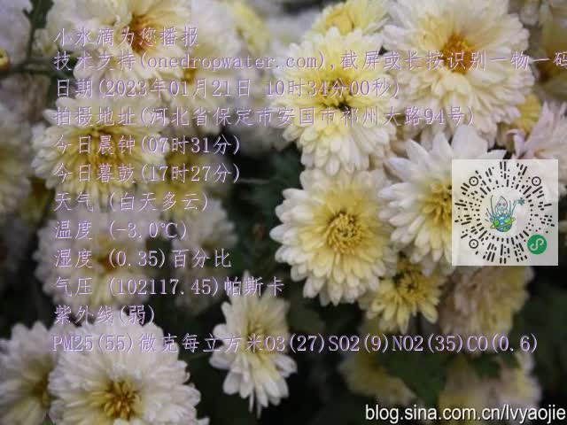 0.mp4