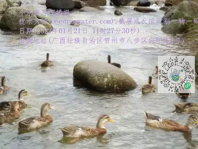 0.mp4