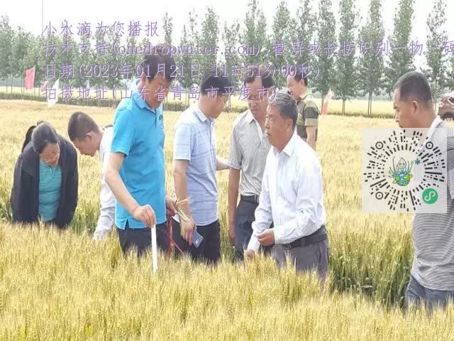 0.mp4