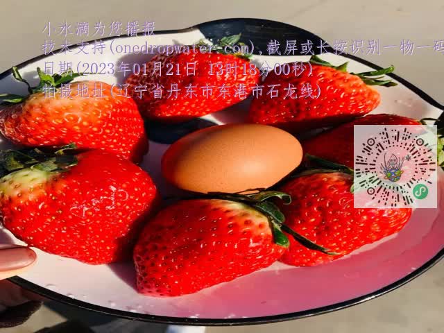 0.mp4