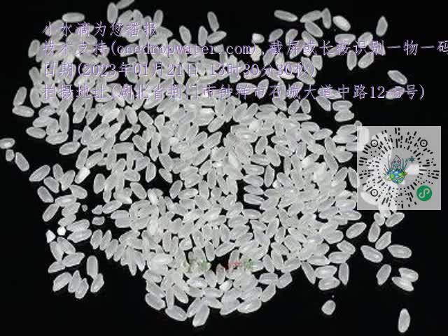 0.mp4