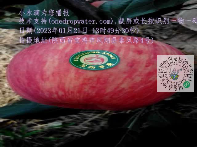 0.mp4