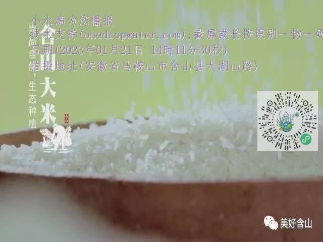 0.mp4