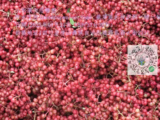 0.mp4