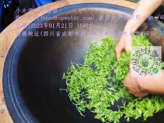 0.mp4