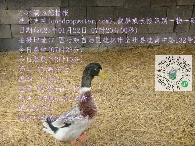 0.mp4