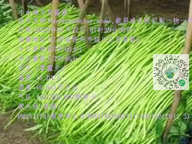 0.mp4