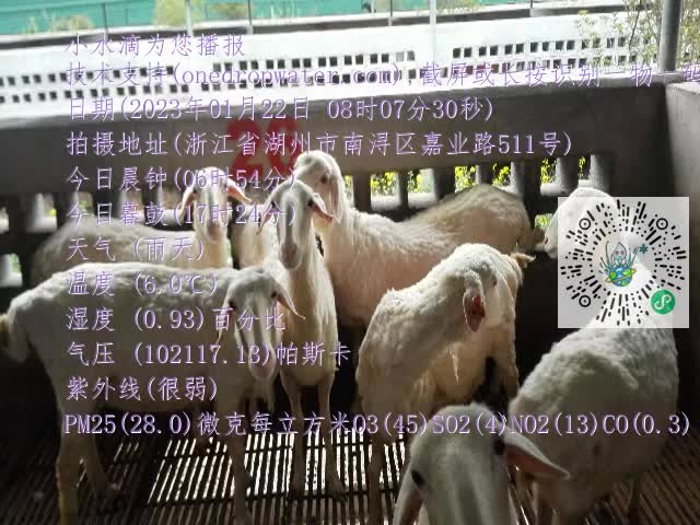 0.mp4