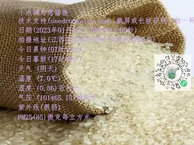 0.mp4