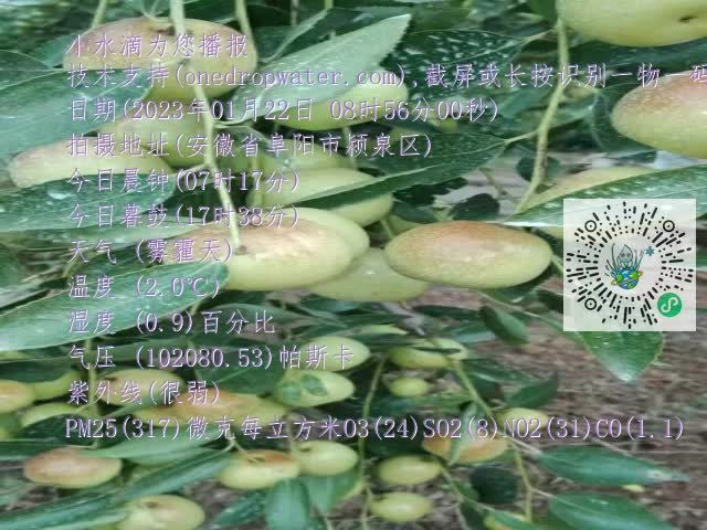 0.mp4