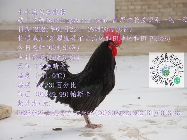 0.mp4
