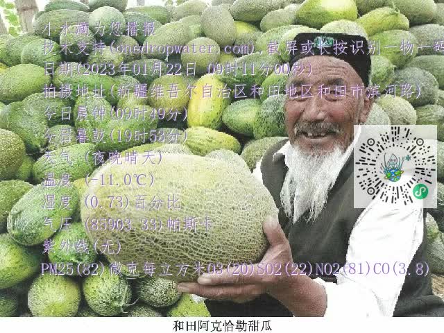 0.mp4