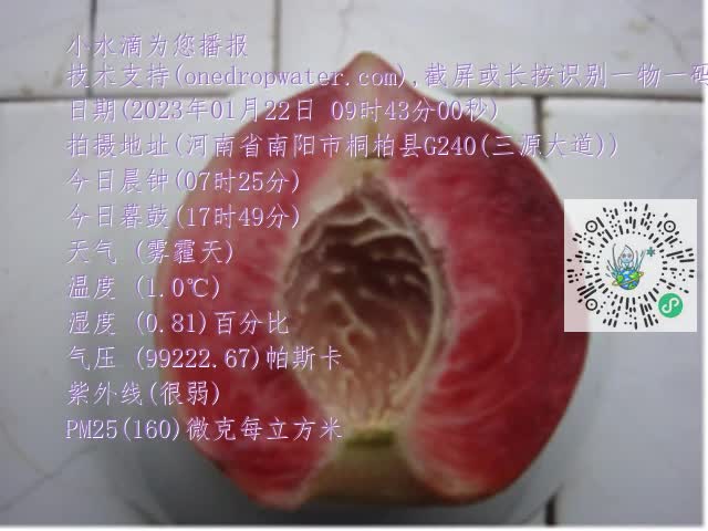 0.mp4
