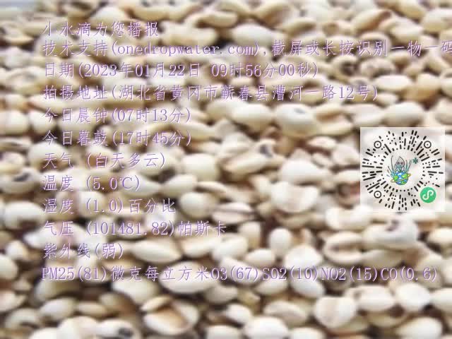 0.mp4