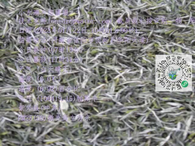 0.mp4