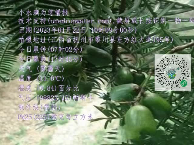 0.mp4