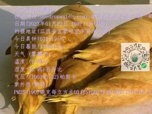 0.mp4