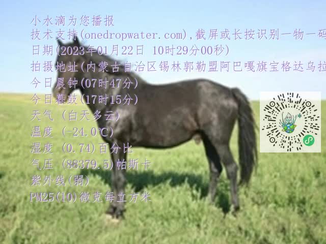 0.mp4