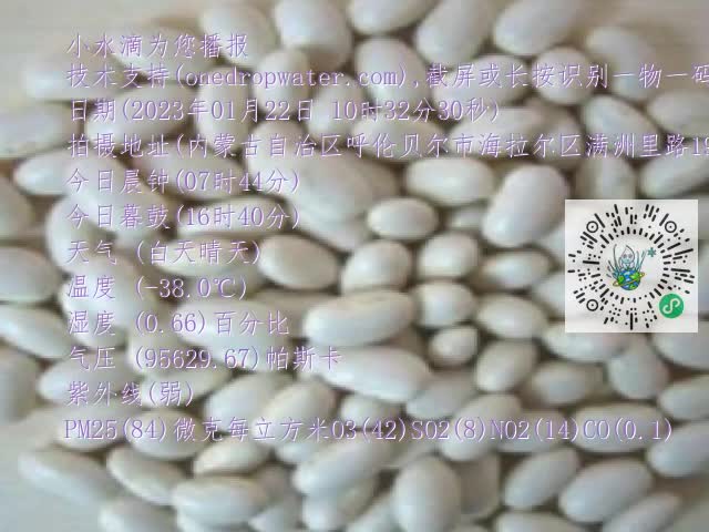 0.mp4