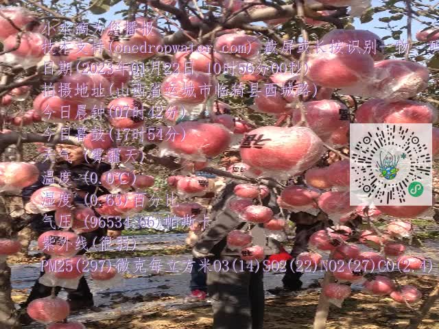 0.mp4