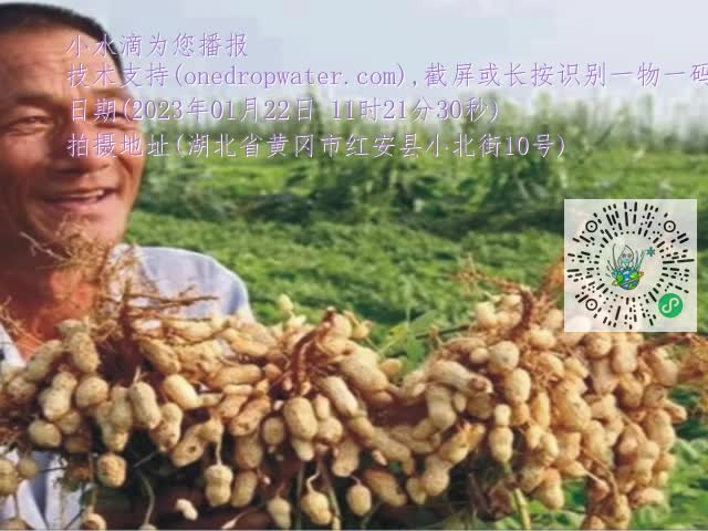 0.mp4