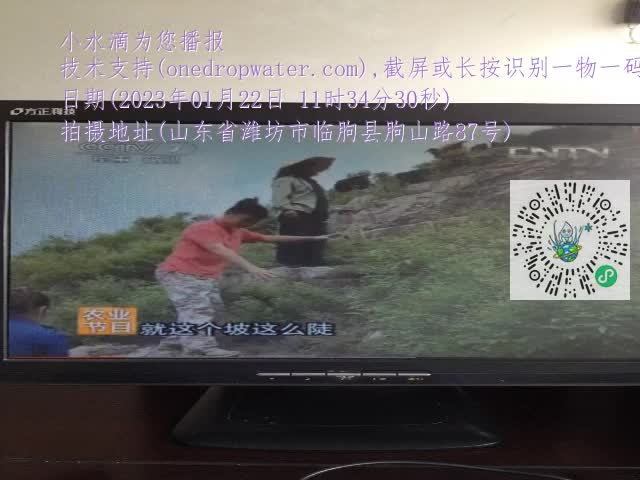 0.mp4