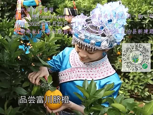 dd8090a4e4d4c7718ed15ab6692d8051.mp4