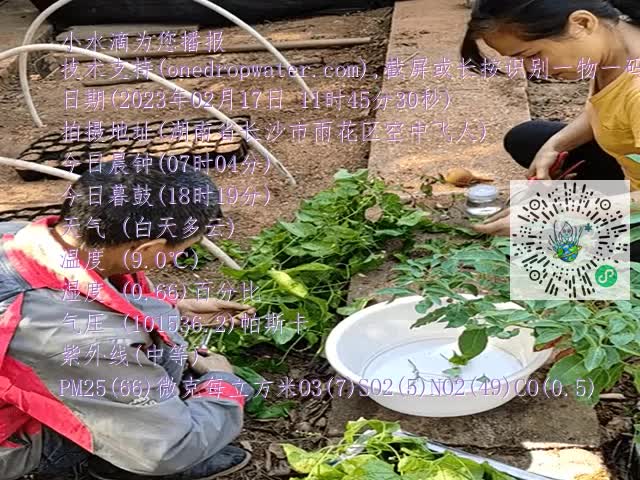 42c49bb832bb4527030c58b8a3850533.mp4